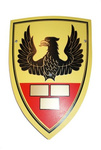 Tarcza duża z rączką - różne wzory