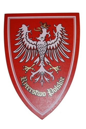 Rycerz giermek ecru - tunika z kapturem, tarcza, miecz 54