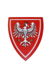 Rycerz pancerny polski: zbroja, płaszcz czerwony, miecz 50 cm z pochwą, tarcza