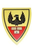 Zawisza Czarny