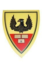 Tarcza mała z rączką - różne wzory