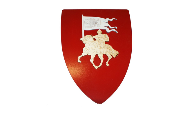 Tarcza średnia z rączką jeździec i miecz 49 z pochwą
