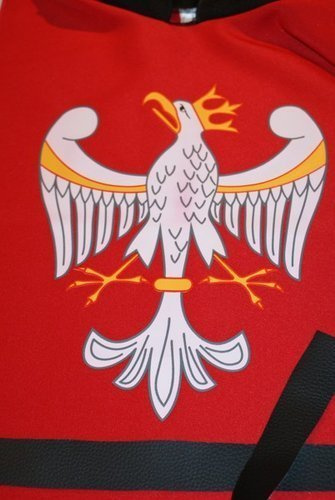 Zestaw rycerski tunika czerwona + miecz i tarcza piankowe (jeździec)