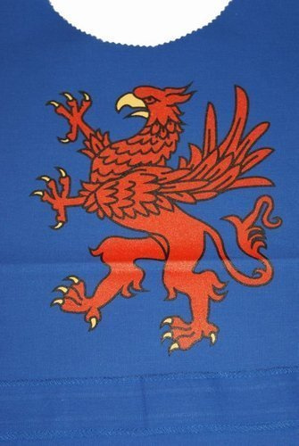 Strój rycerza gryf - tunika, hełm, tarcza i miecz 49 z pochwą
